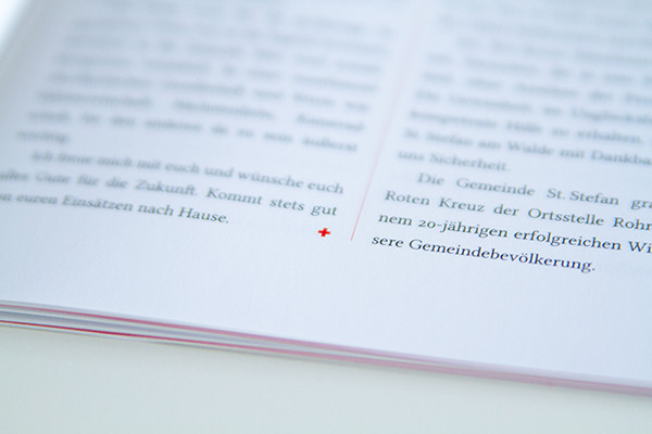 erli-grunzweil-cruz-roja-03