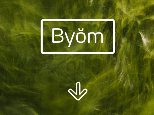 tipografia-gratis-descargar-byom