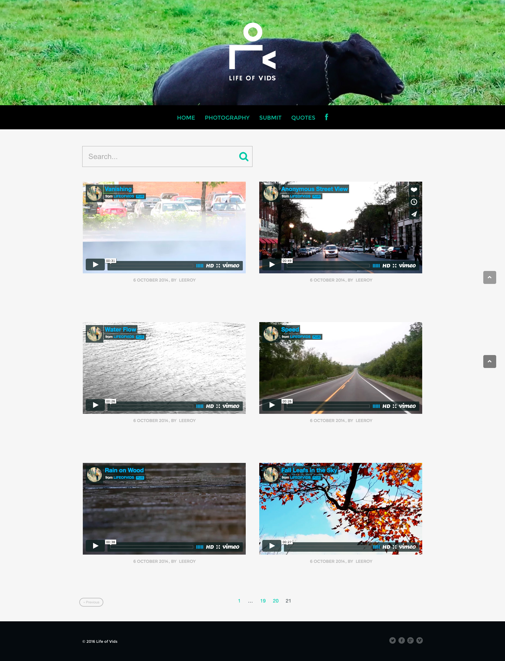 free-sock-video-recursos-descarga