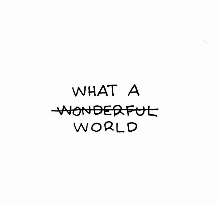T Diary en instagram. What a World