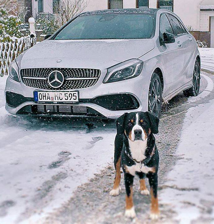 Imagen de redes sociales Mercedes-Benz Alemania