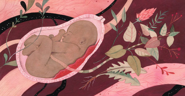 Luisa-Rivera-Pollen-01