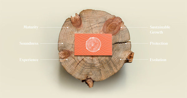 marcas-estrella-behance