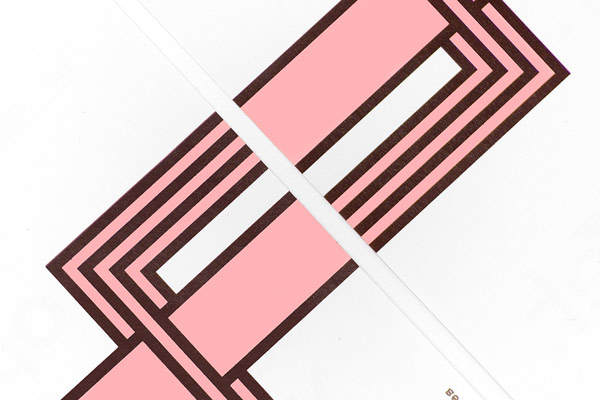 festival-rosa-branding-pattern