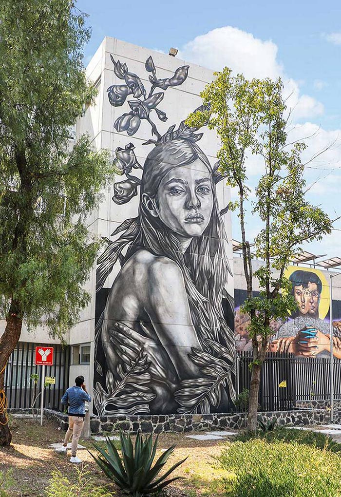 mejores artistas urbanos de México Paola Delfín arte callejero